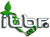 IBBR logo