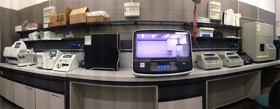 The ION Torrent PGM2 multifunction station at the IBBR/UOS Florence