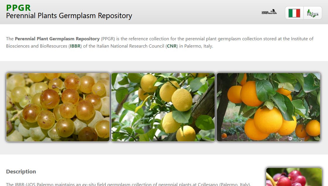 The home page of the Perennial Plants Germplasm Repository (PPGR)